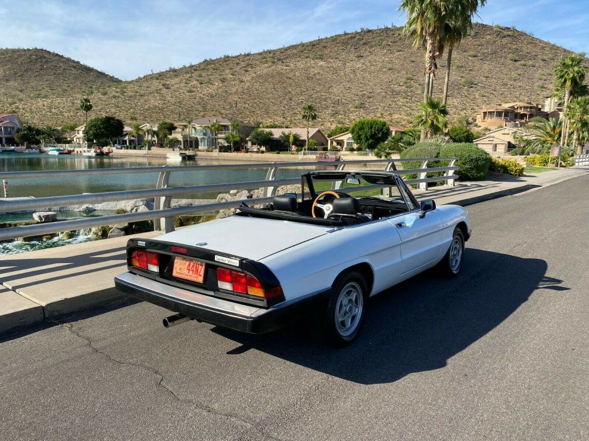 1986 Alfa Romeo Spider Veloce - photo 4
