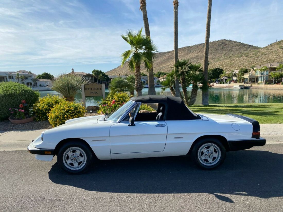 1986 Alfa Romeo Spider Veloce - photo 5