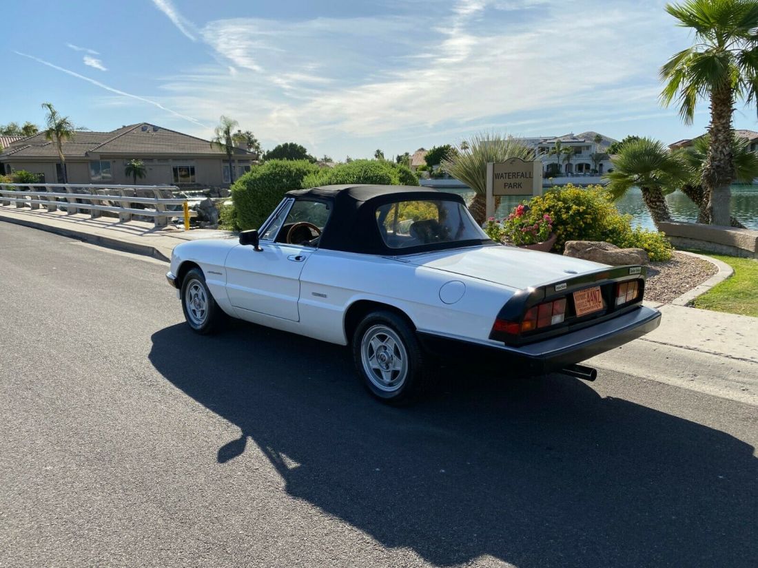 1986 Alfa Romeo Spider Veloce - photo 7