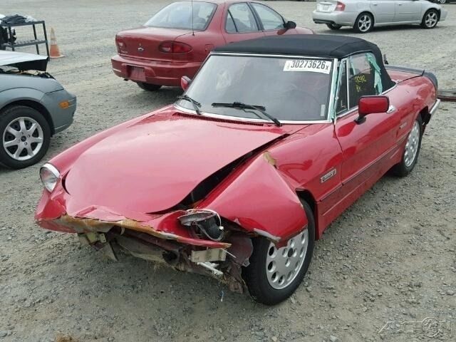 1986 Alfa Romeo Spider Spider Convertible - photo 2