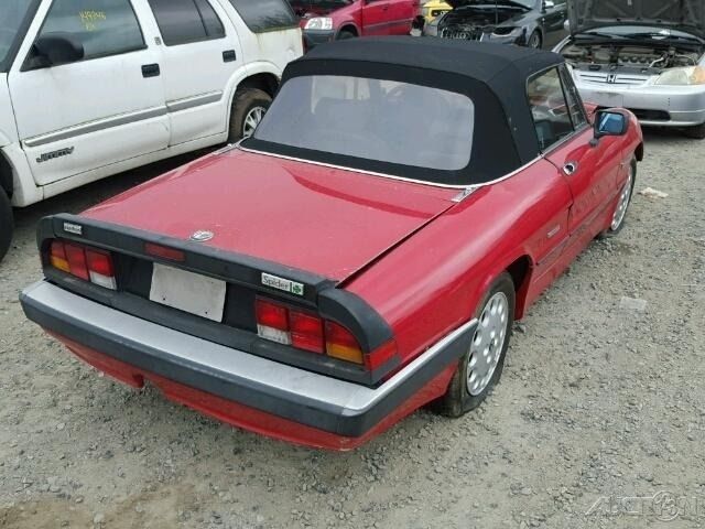 1986 Alfa Romeo Spider Spider Convertible - photo 7