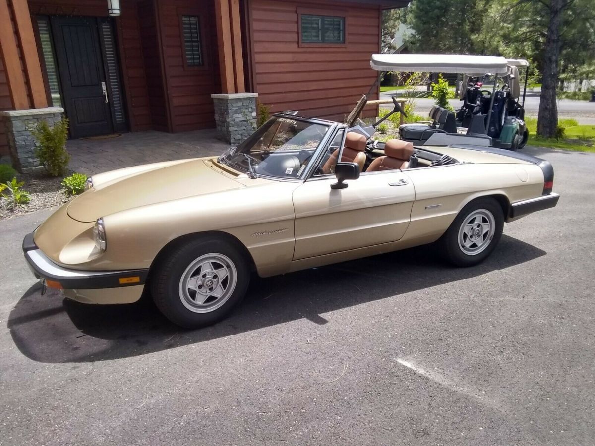 1986 Alfa Romeo Spider