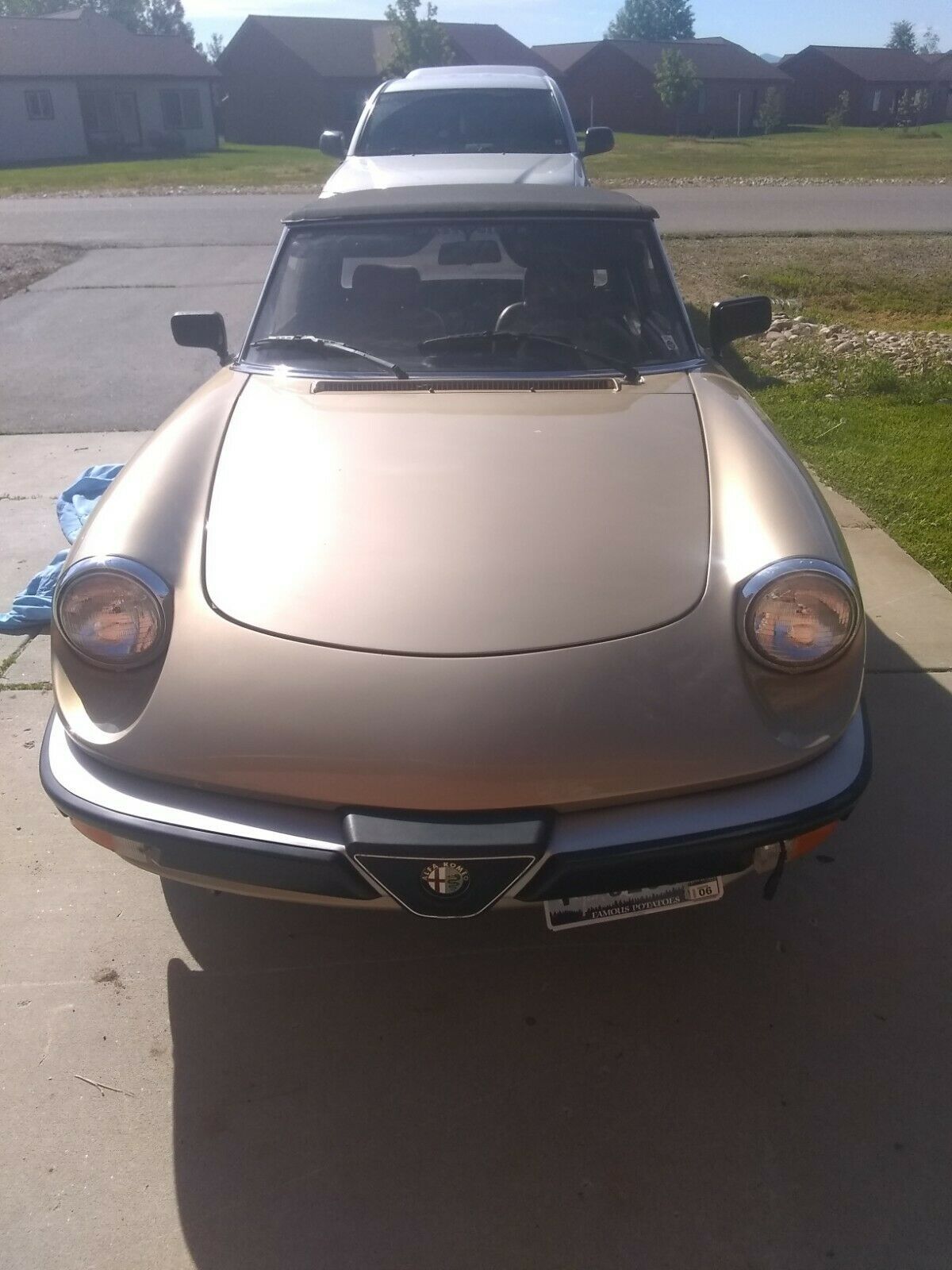 1986 Alfa Romeo Spider - photo 2