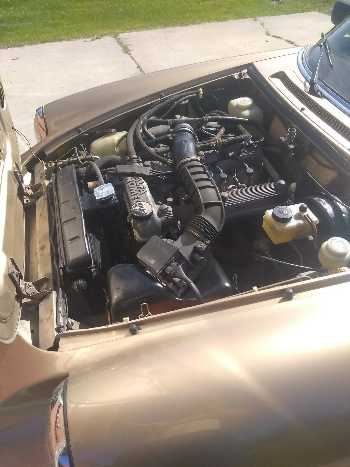 1986 Alfa Romeo Spider - photo 5