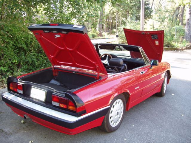 1986 Alfa Romeo Spider - photo 4