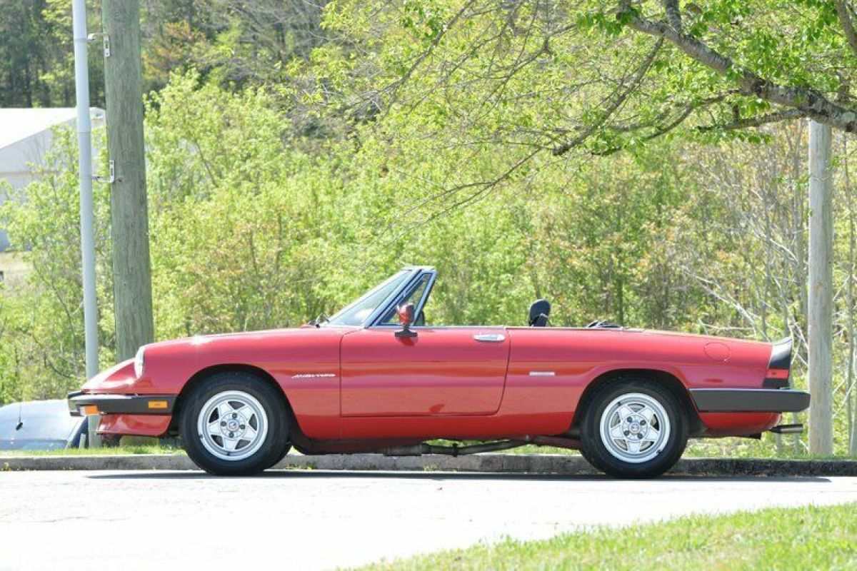 1986 Alfa Romeo Spider - photo 11