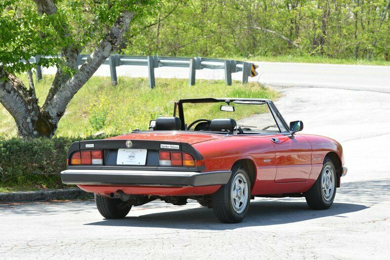 1986 Alfa Romeo Spider - photo 13