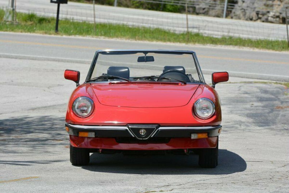 1986 Alfa Romeo Spider - photo 4