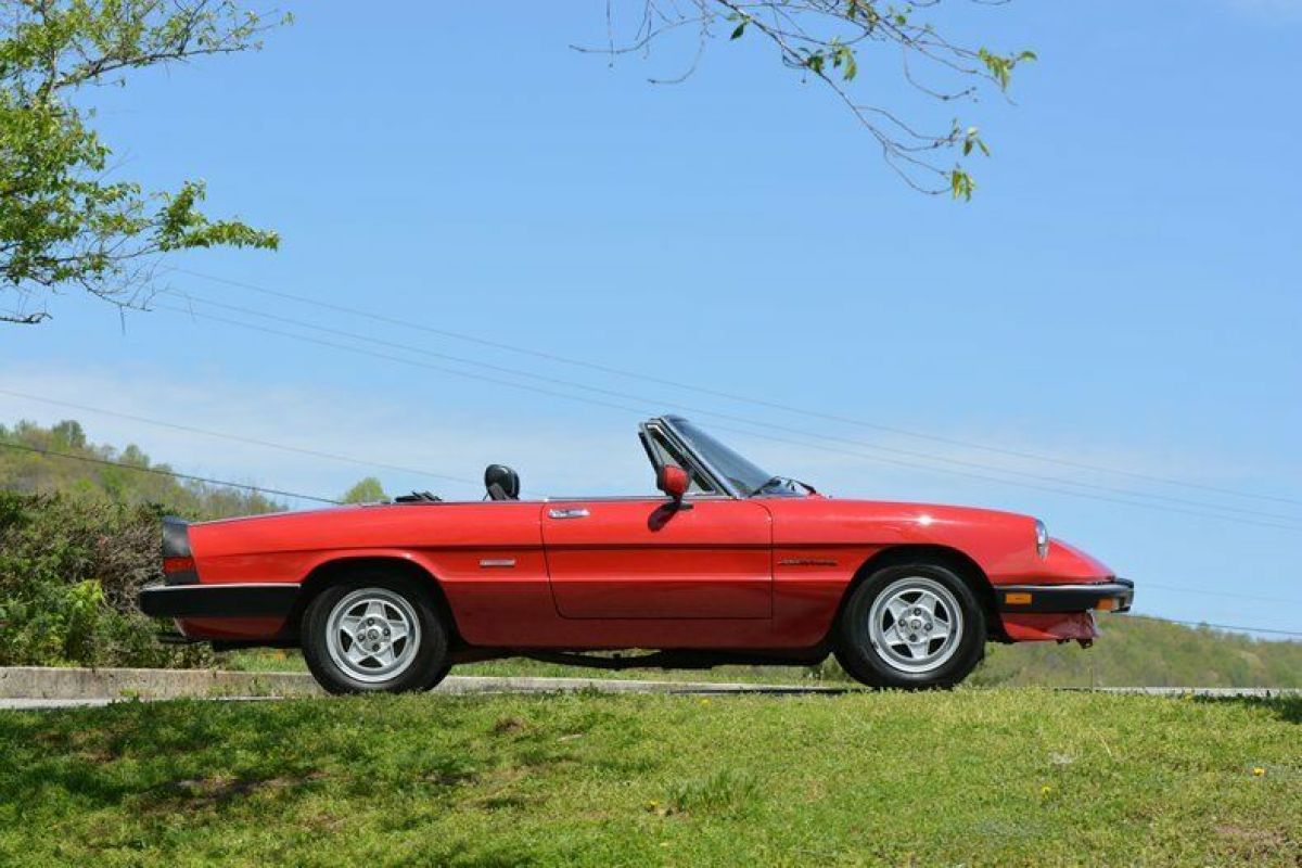 1986 Alfa Romeo Spider - photo 8