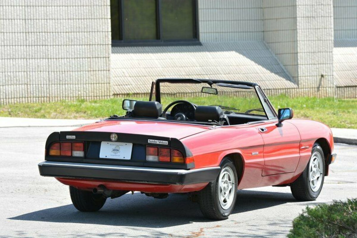 1986 Alfa Romeo Spider - photo 9