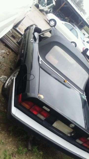 1986 Alfa Romeo Spider - photo 3