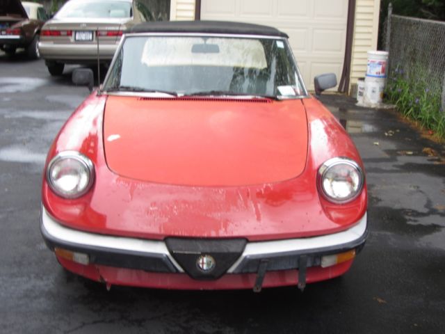 1986 Alfa Romeo Spider Graduate - photo 2