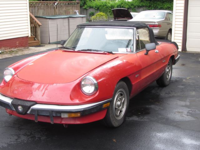 1986 Alfa Romeo Spider Graduate - photo 3