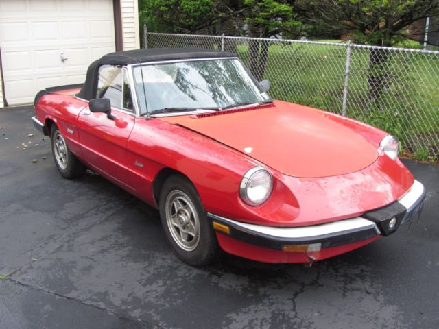 1986 Alfa Romeo Spider Graduate - photo 4