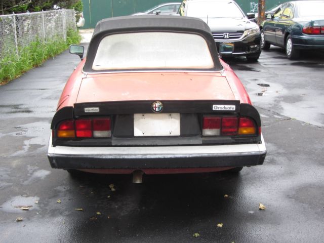 1986 Alfa Romeo Spider Graduate - photo 6