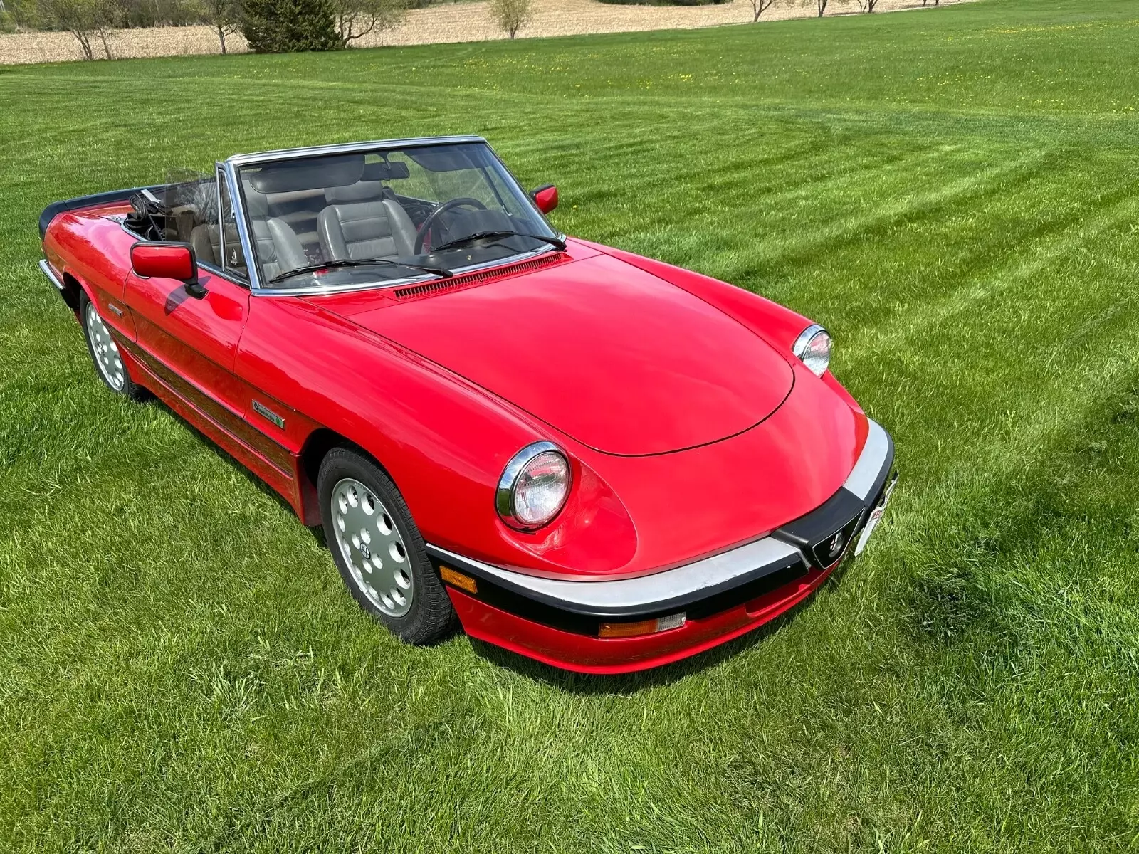 1986 Alpha Romeo Spider Quadrifoglio 1986 Alfa Romeo Other