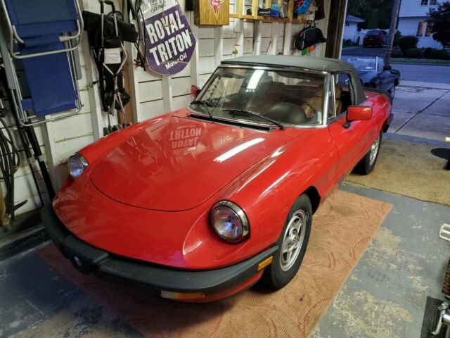 1986 Alfa Romeo Spider - photo 2