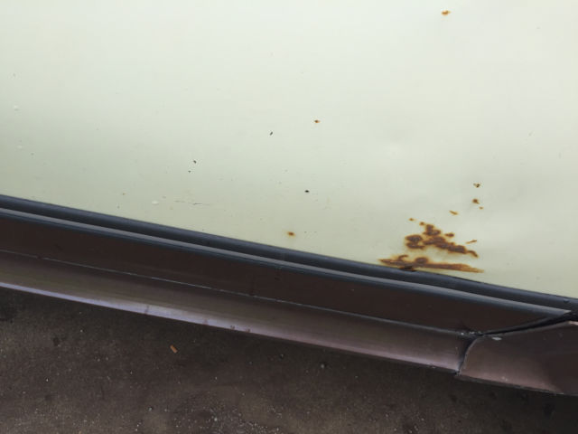 1986 AMC Other - photo 9