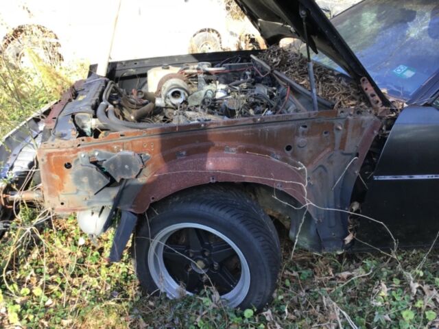 1986 Buick Grand National we2 - photo 3