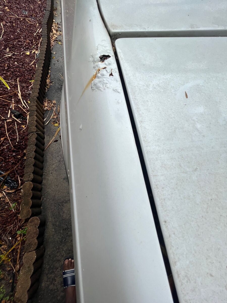 1986 Buick Regal - photo 5