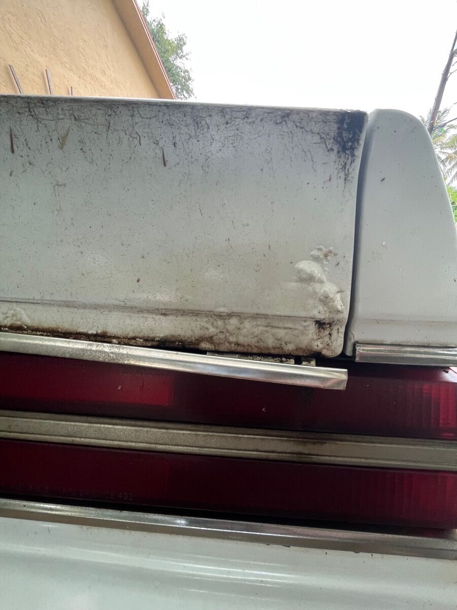 1986 Buick Regal - photo 7