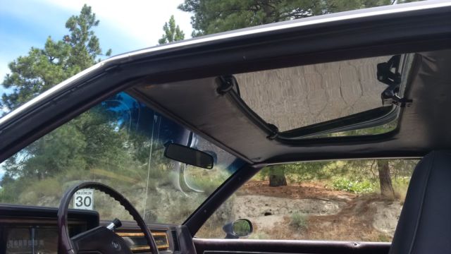 1986 Buick Regal Limited Coupe 2-Door - photo 12