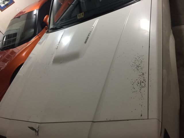 1986 Buick Regal T type - photo 8