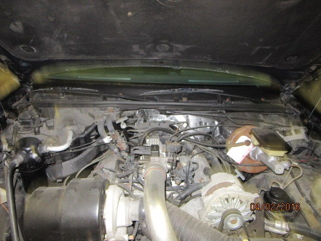 1986 Buick Regal T-Type - photo 2