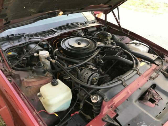 1986 Chevrolet Camaro 2dr Coupe Z28 Sport - photo 10