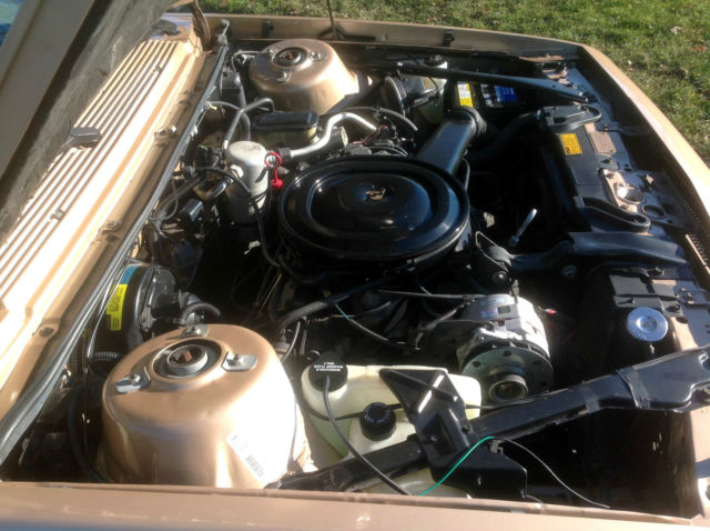 1986 Chevrolet Celebrity EuroSport Station Wagon - photo 12