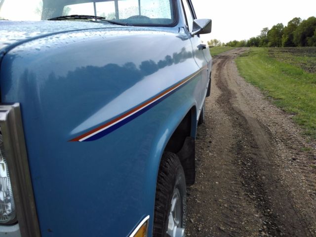1986 Chevrolet C/K Pickup 1500 Custom Deluxe - photo 3