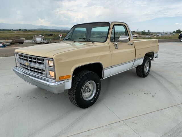 1986 Chevrolet C/K Pickup 1500 Custom Deluxe - photo 10