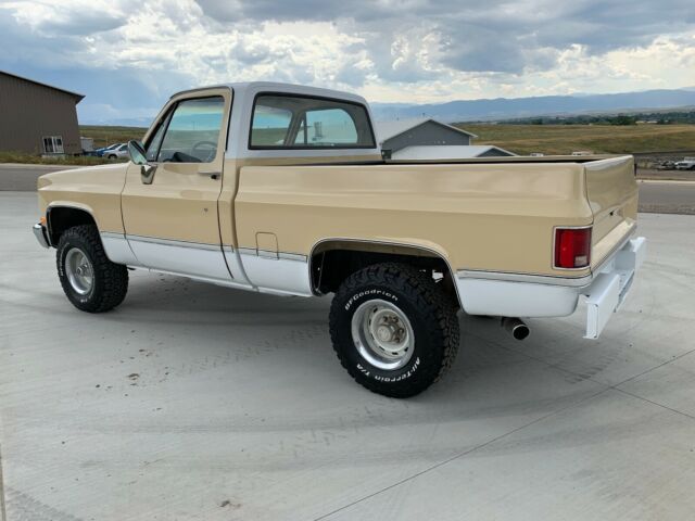 1986 Chevrolet C/K Pickup 1500 Custom Deluxe - photo 3