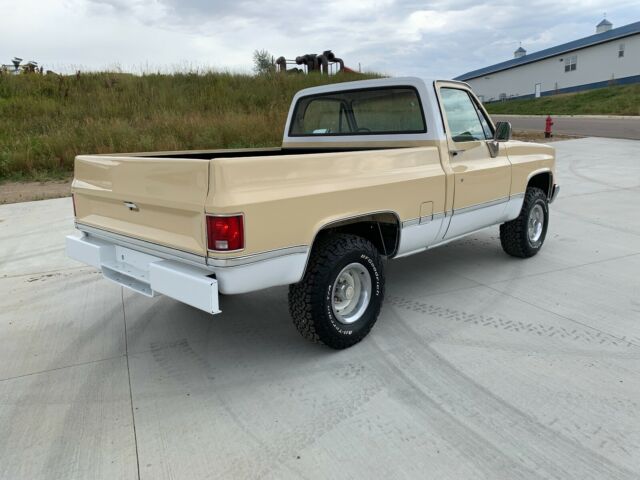 1986 Chevrolet C/K Pickup 1500 Custom Deluxe - photo 5