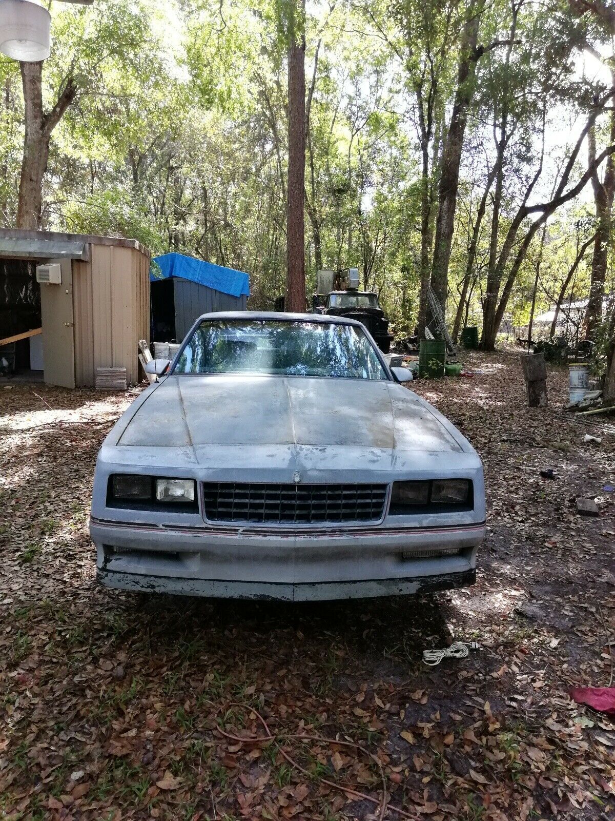 1986 Chevrolet Monte Carlo - photo 3