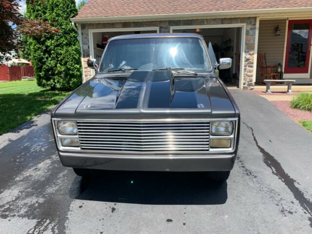 1986 Chevrolet C-10 1500 - photo 8