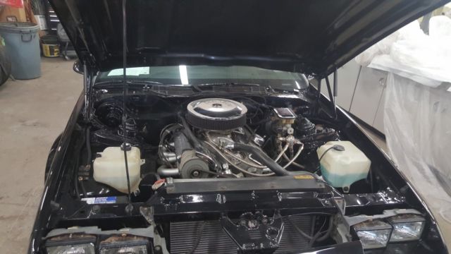 1986 Chevrolet Camaro Z28 - photo 10