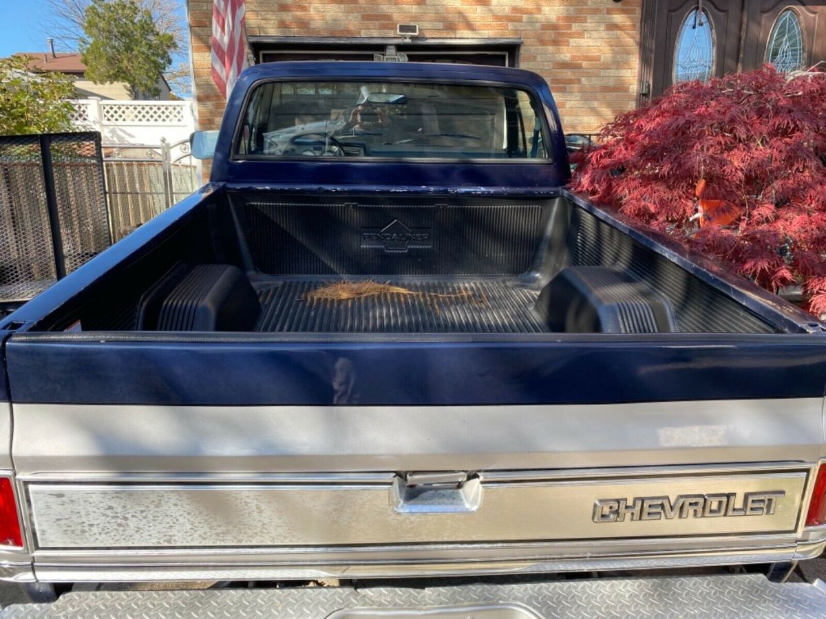 1986 Chevrolet C-10 - photo 6