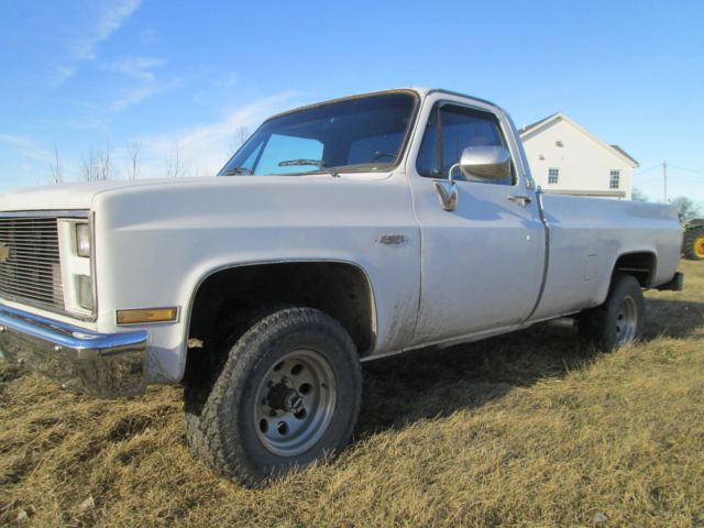 1986 Chevrolet Other Pickups Silverado - photo 4