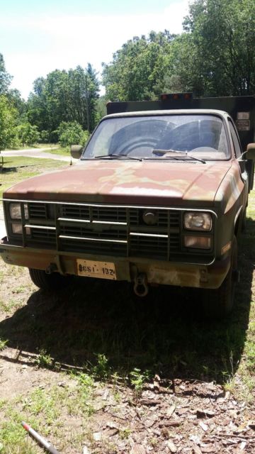 1986 Chevrolet Other Pickups UTILITY - photo 3