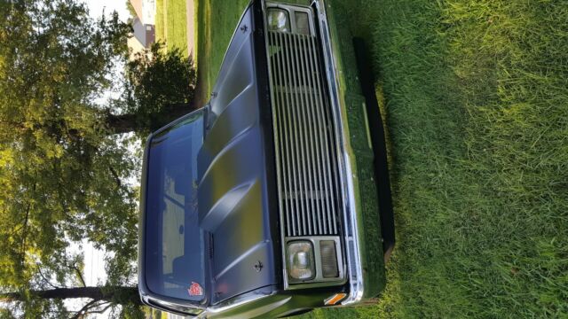 1980 Chevrolet C/K Pickup 1500 - photo 8