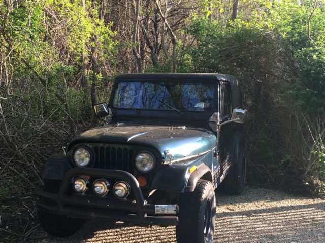 1986 Jeep Cj-7 Custom trim - photo 2