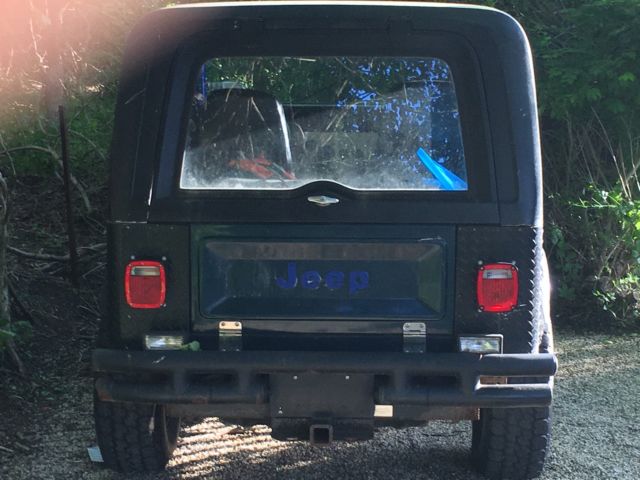 1986 Jeep Cj-7 Custom trim - photo 3