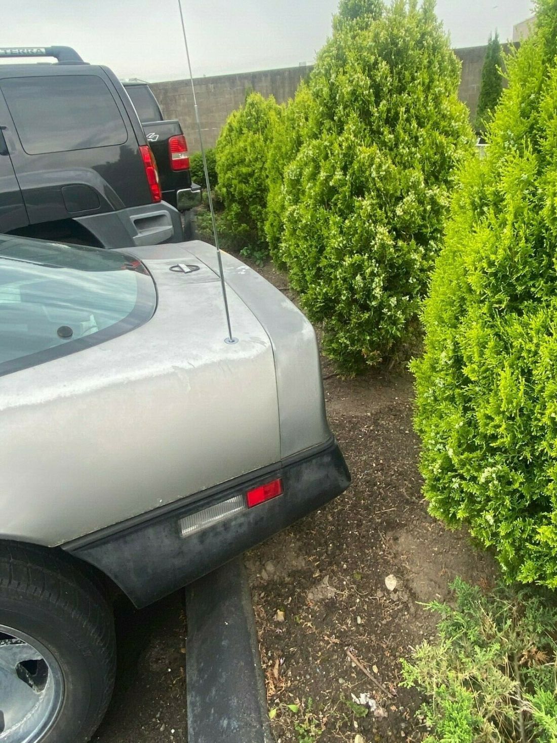 1986 Chevrolet Corvette - photo 4