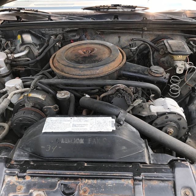 1986 Oldsmobile Cutlass Crone - photo 5