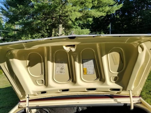 1986 Oldsmobile Cutlass brougham - photo 9