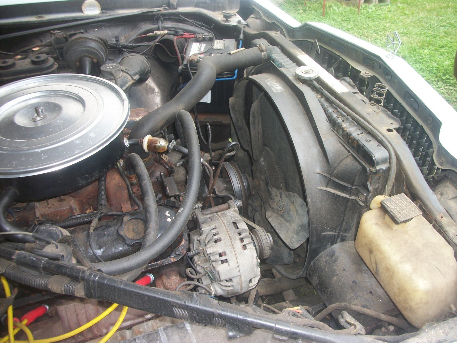 1986 Dodge Diplomat - photo 11