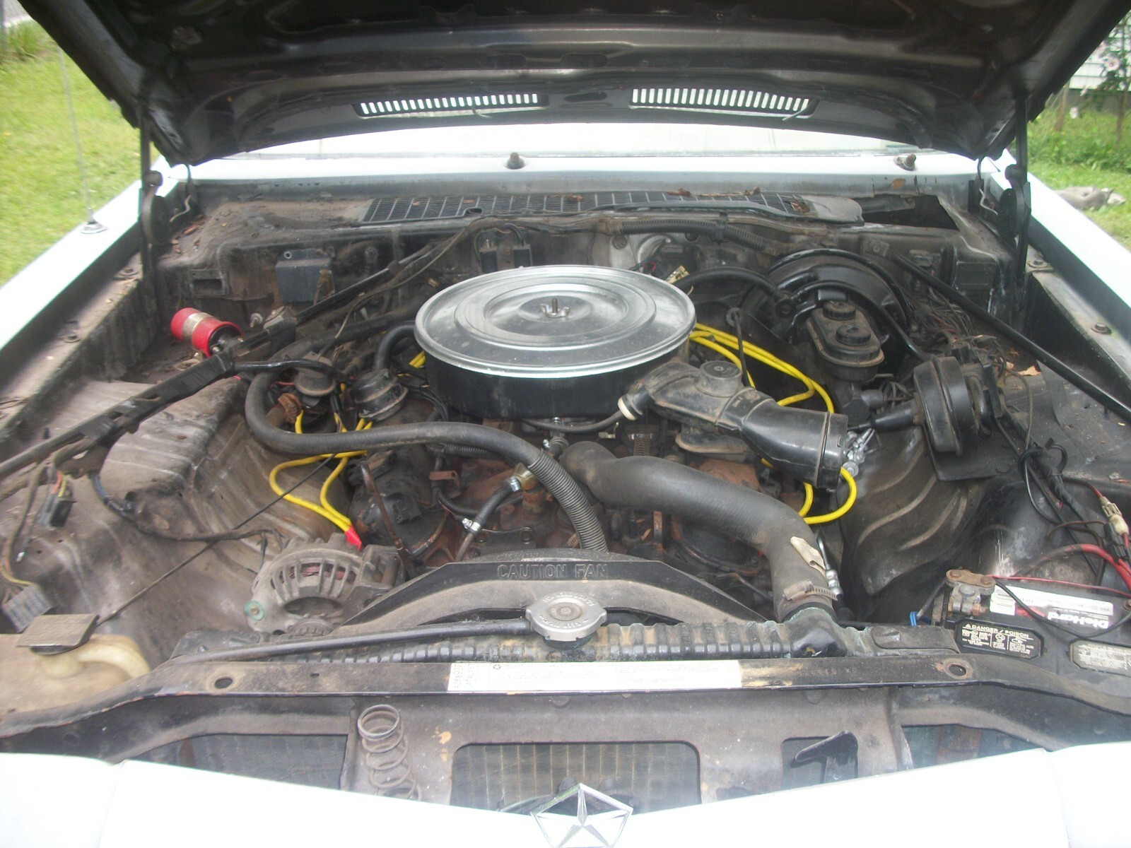 1986 Dodge Diplomat - photo 12