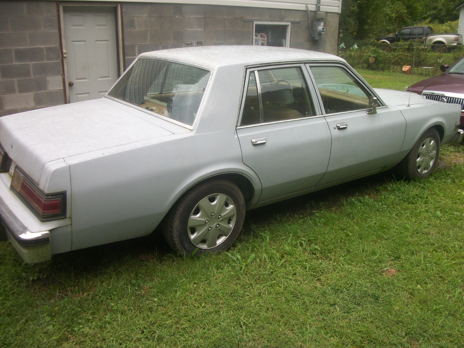 1986 Dodge Diplomat - photo 4