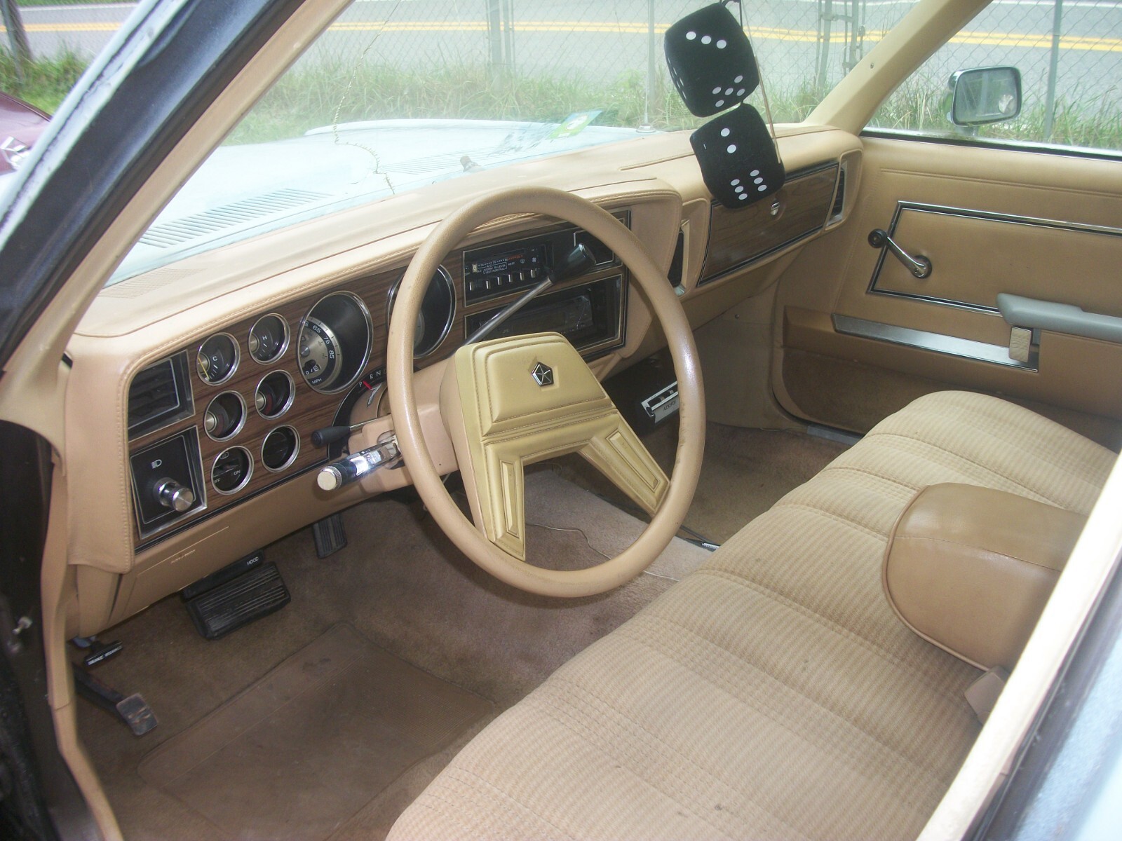 1986 Dodge Diplomat - photo 8